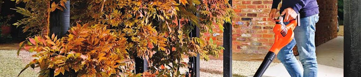 Løvblåser: Velg en løvblåser til disse oppgavene! Løvblåser: Velg en løvblåser til disse oppgavene!